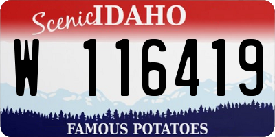 ID license plate W116419