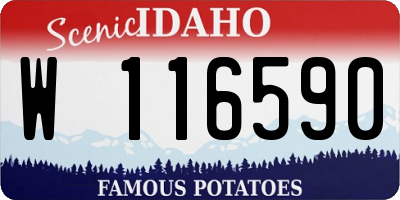 ID license plate W116590