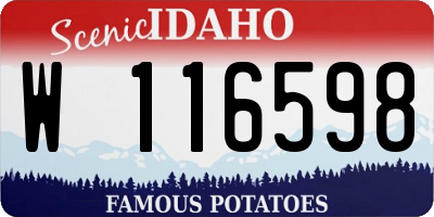 ID license plate W116598