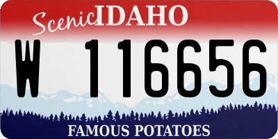 ID license plate W116656