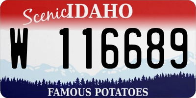 ID license plate W116689