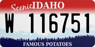 ID license plate W116751