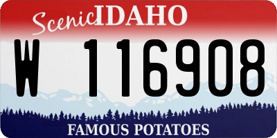 ID license plate W116908