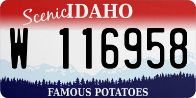 ID license plate W116958