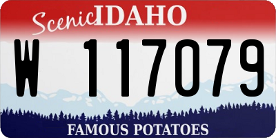 ID license plate W117079