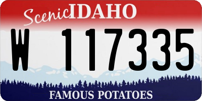 ID license plate W117335