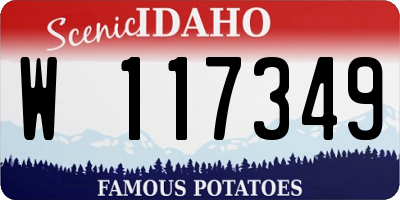 ID license plate W117349