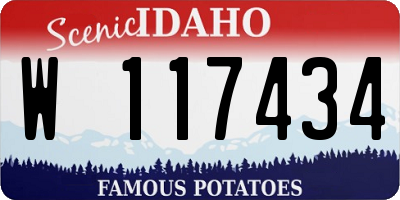 ID license plate W117434
