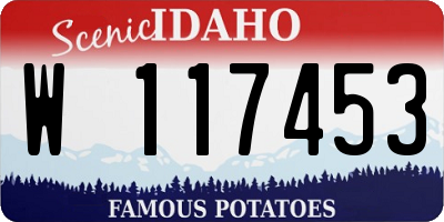 ID license plate W117453