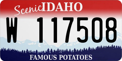 ID license plate W117508
