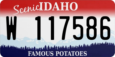 ID license plate W117586