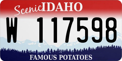 ID license plate W117598