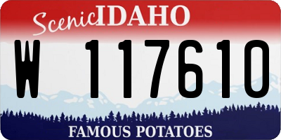 ID license plate W117610
