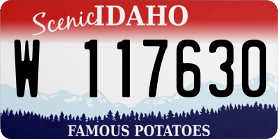 ID license plate W117630