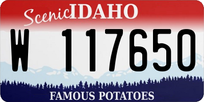 ID license plate W117650