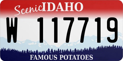 ID license plate W117719