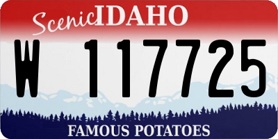 ID license plate W117725