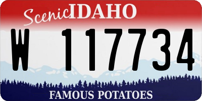 ID license plate W117734