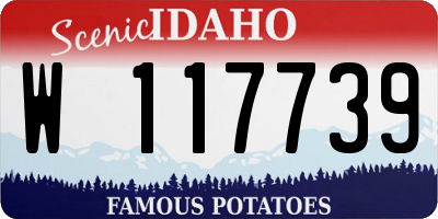 ID license plate W117739