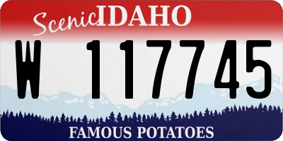 ID license plate W117745
