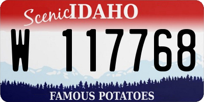 ID license plate W117768