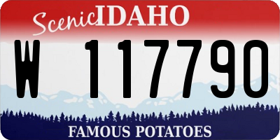 ID license plate W117790