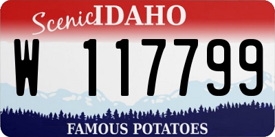 ID license plate W117799