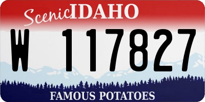 ID license plate W117827