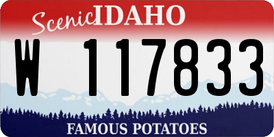 ID license plate W117833