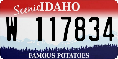 ID license plate W117834
