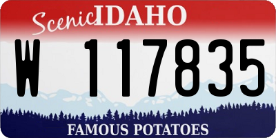 ID license plate W117835