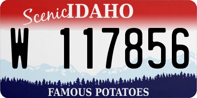 ID license plate W117856