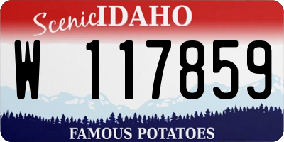 ID license plate W117859