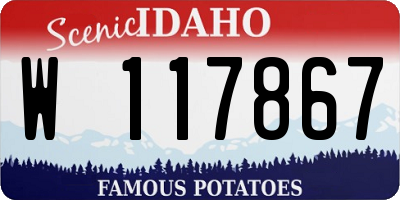 ID license plate W117867