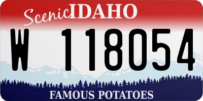 ID license plate W118054