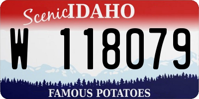 ID license plate W118079