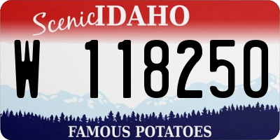 ID license plate W118250