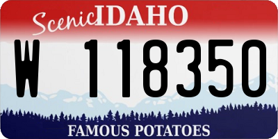 ID license plate W118350