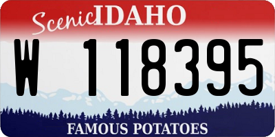 ID license plate W118395