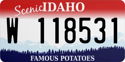 ID license plate W118531