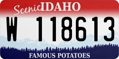 ID license plate W118613