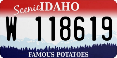 ID license plate W118619