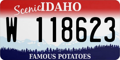 ID license plate W118623