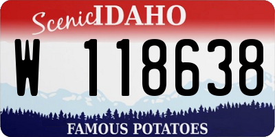ID license plate W118638