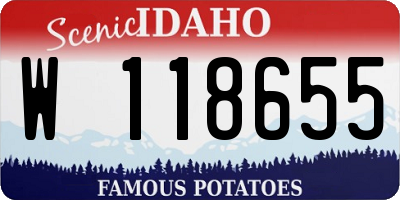 ID license plate W118655