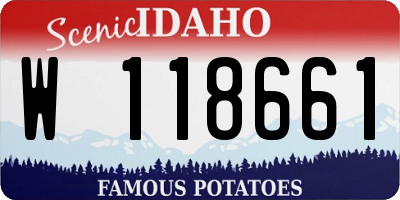 ID license plate W118661