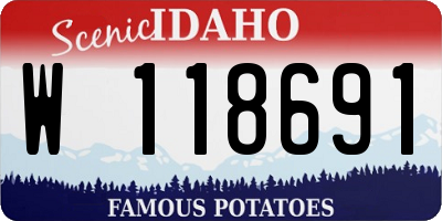 ID license plate W118691
