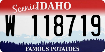 ID license plate W118719