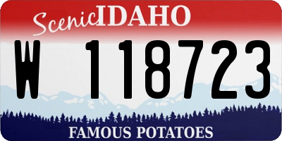 ID license plate W118723