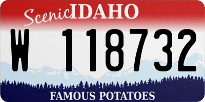 ID license plate W118732